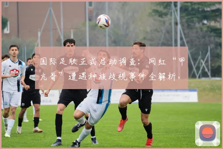 国际足联正式启动调查:网红“甲亢哥”遭遇种族歧视事件全解析,附举报方法与处罚案例